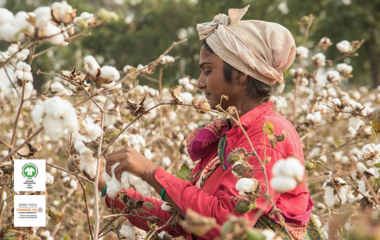 organic cotton farm ulinen